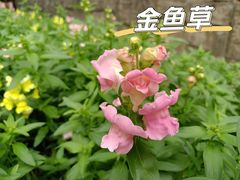 -广州市白云山风景名胜区
