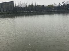 -圩墩遗址公园