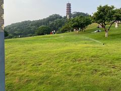 -红花山公园