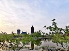 -西海子公园