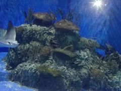 -梦幻海洋王国(吾悦广场张家港店)