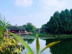 -尚贤河湿地