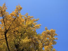 -两江幸福广场
