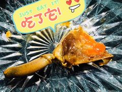 -西郊5号·Maggie 5