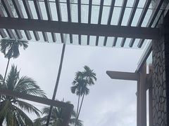 -亚龙湾希尔顿自助餐厅·海鲜·烧烤·沙滩BBQ·现场乐队