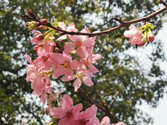 -桃花涧
