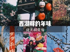 -钱王祠
