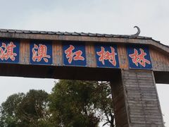 -珠海圆明新园