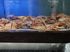-阿伟海鲜楼·福建菜(延寿店)