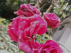 -人民公园(罗湖区)