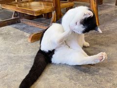 -吃皮火锅馆(苏宁店)