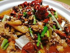 -新东坡酒楼(报社街店)