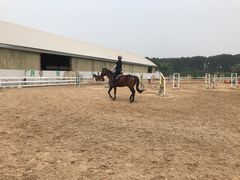 -月河湾马术俱乐部(朝阳店)