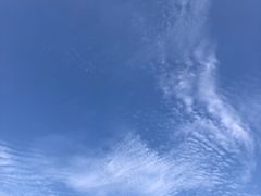 -无锡动物园·太湖欢乐园