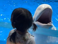 -太平洋海底世界