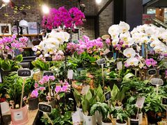 -豆豆花艺(新光天地店)