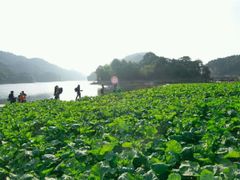 -广州市石门国家森林公园