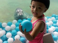 -秦皇岛乐岛海洋王国