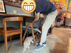 -咖法森林·咖啡  酒吧(天河店)