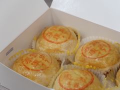 鲜肉月饼-百年泰康鲜肉月饼