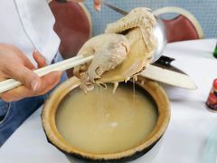 雞煲翅-新陶陶酒家