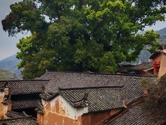 -杨家堂村
