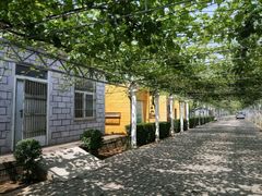 -白鹿原葡萄主题公园