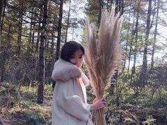 -秦岭风景区