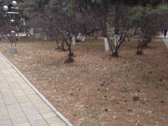 -东北大学(南湖校区)