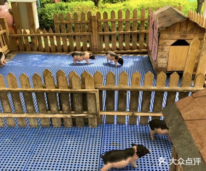 春日遛娃,就去动物乐园!