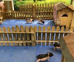 -萌宠亲子动物乐园(槐房万达店)