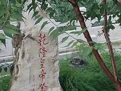 -桃花堤公园