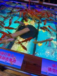 -卡通尼乐园(印象城购物中心店)