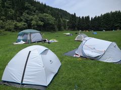 -武陵山森林公园