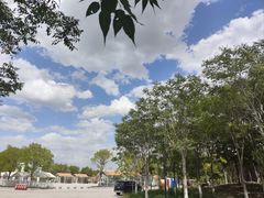 -天津东丽湖风景区