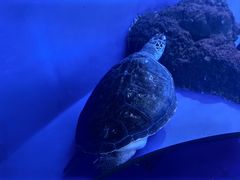 -成都浩海立方海洋公园