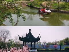 -苏州上方山国家森林公园