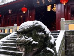-缙云山景区
