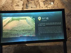 -秦始皇帝陵博物院-丽山园
