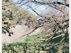 -名古屋城