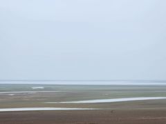 -鄱阳湖国家湿地公园