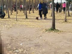 -汉景帝阳陵博物院