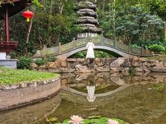 -深圳国际园林花卉博览园