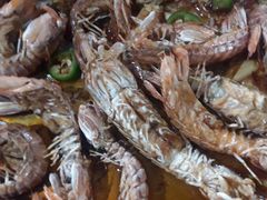 椒盐濑尿虾-源海渔村·现捞海鲜(大角湾店)
