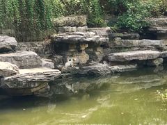 -花溪公园