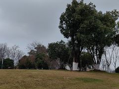 -东湖落雁景区