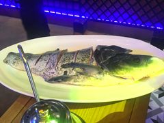 -红牌美蛙鱼头火锅(万辉国际广场店)