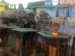 -一代烤翅王(大汉口店)