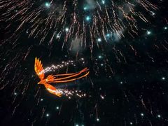 -铜锣湾国际购物中心