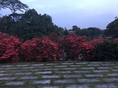 -华南国家植物园-售票处